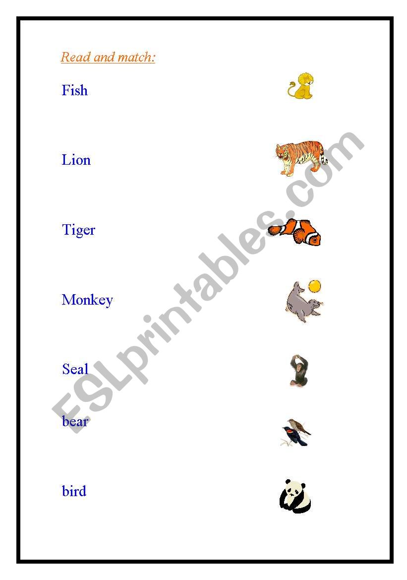 animals worksheet