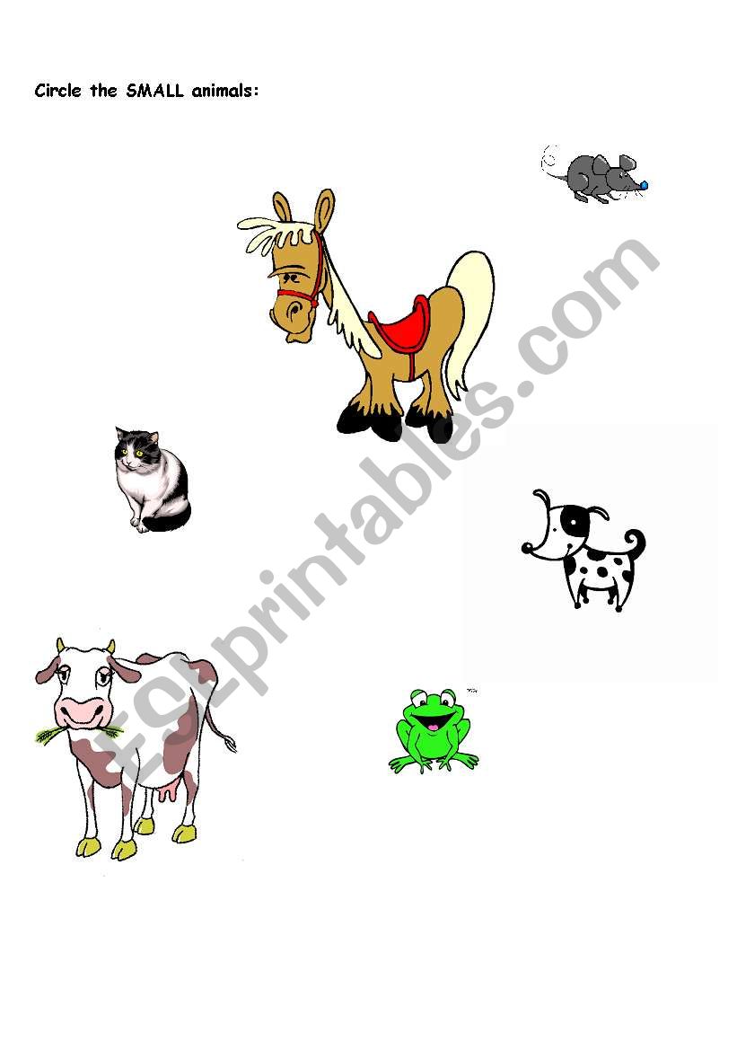 Small Animals worksheet