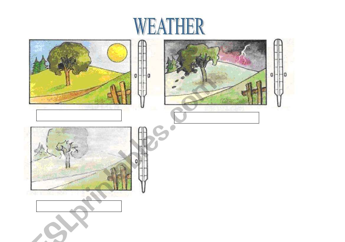 WEATHER part1 worksheet