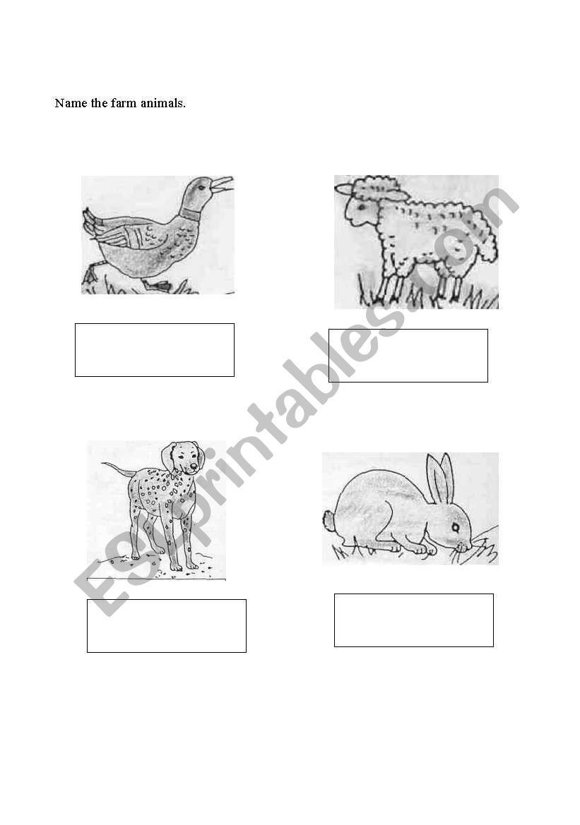 farm animals worksheet