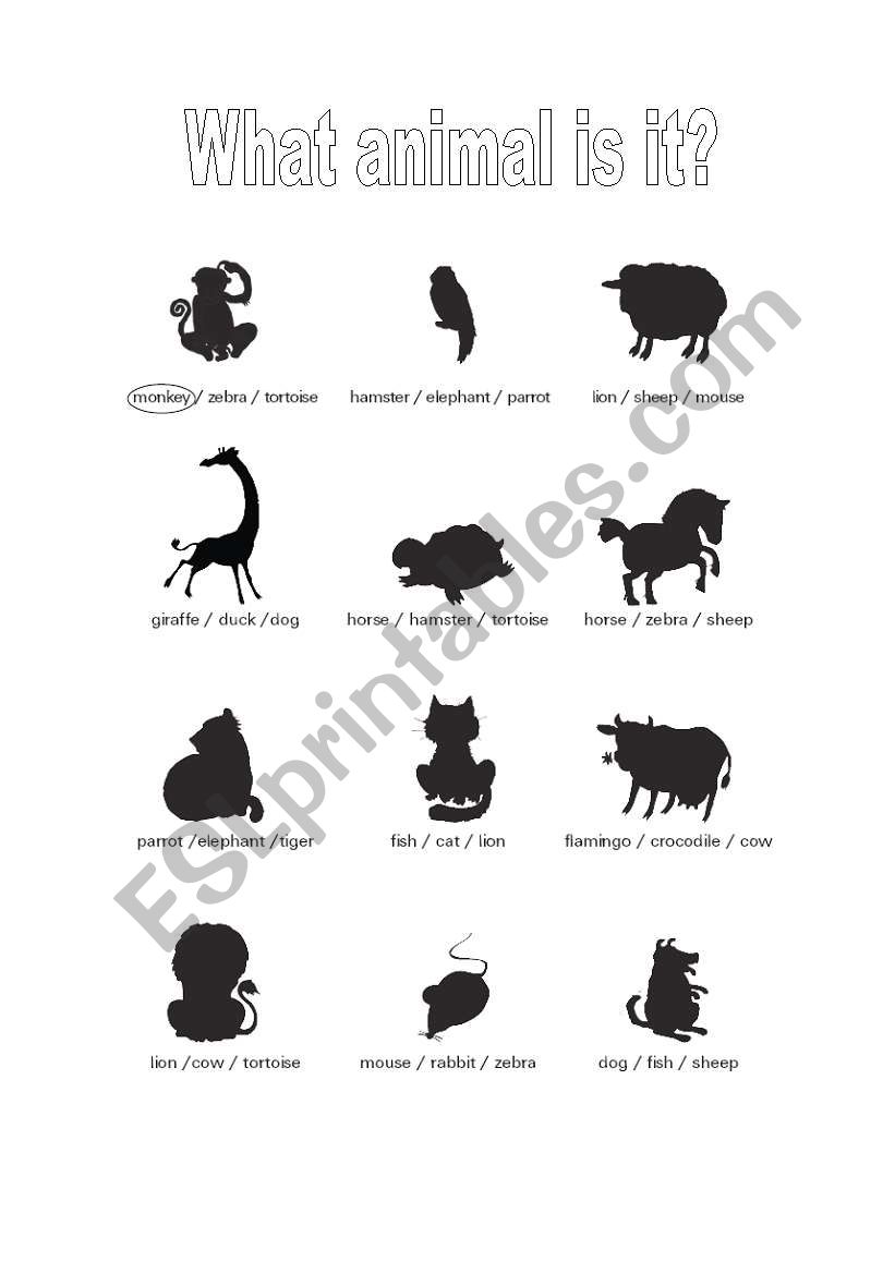 What animal is it? worksheet