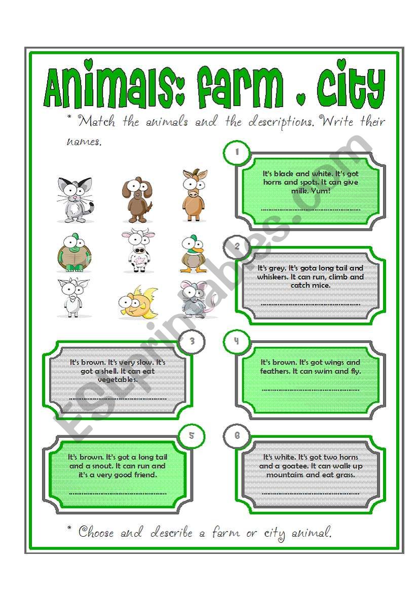 animals farm and city worksheet