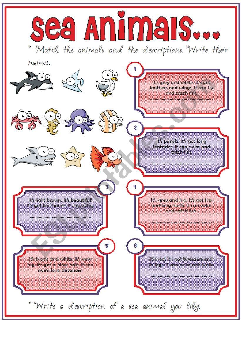 Animals worksheet