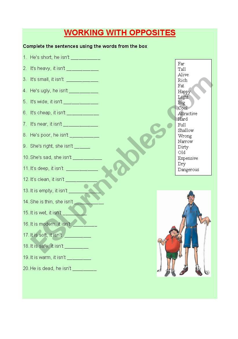 working with opposites worksheet