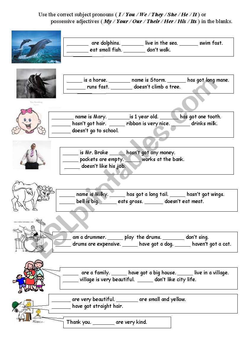 Subject Pronouns & Posessive Adjectives