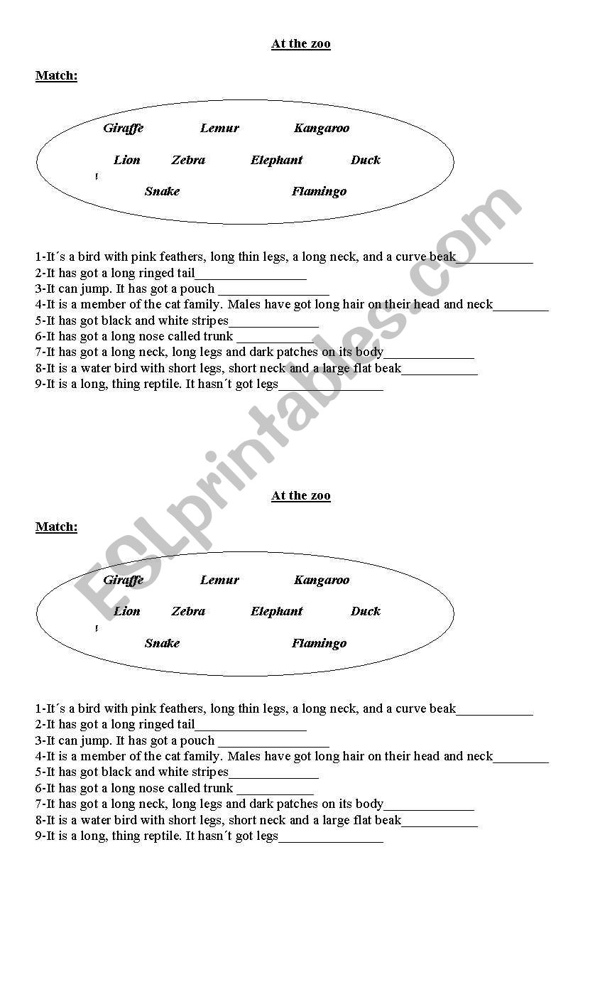 At the zoo worksheet