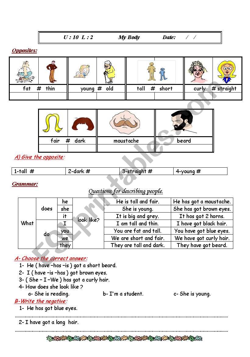 discription worksheet