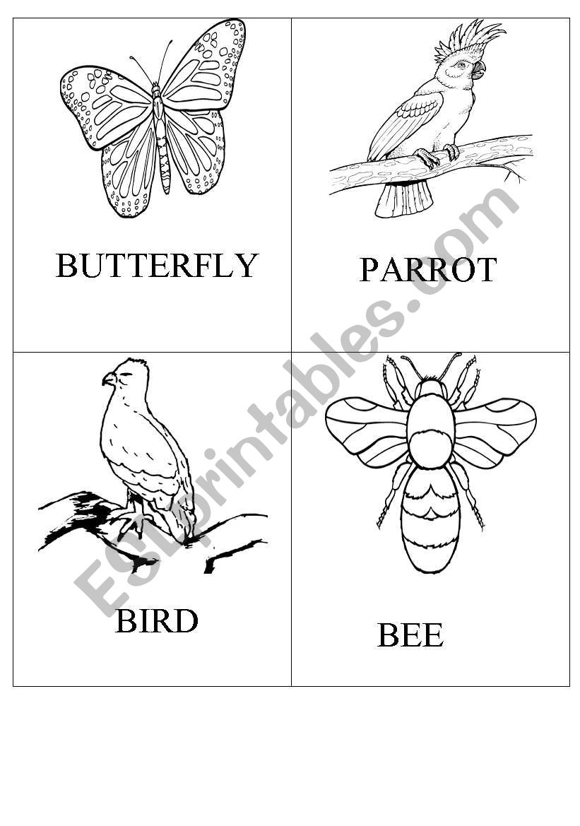 Animals that can fly - ESL worksheet by burcucan