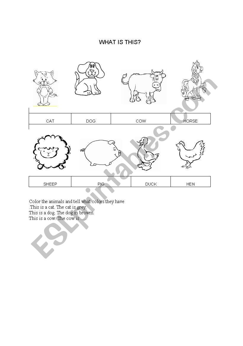 Revision Domestic animals worksheet