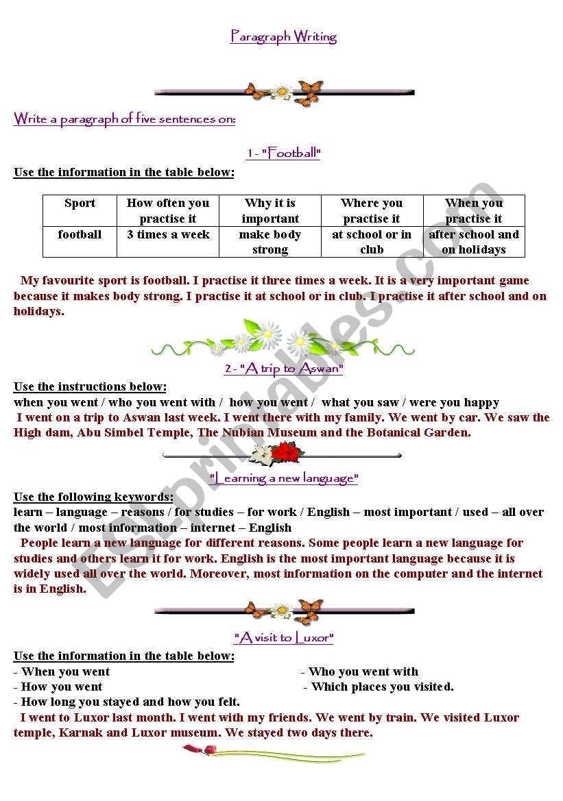 aragraph writing worksheet