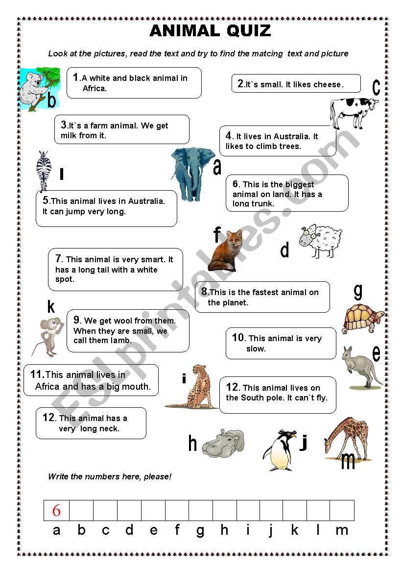 animal quiz worksheet