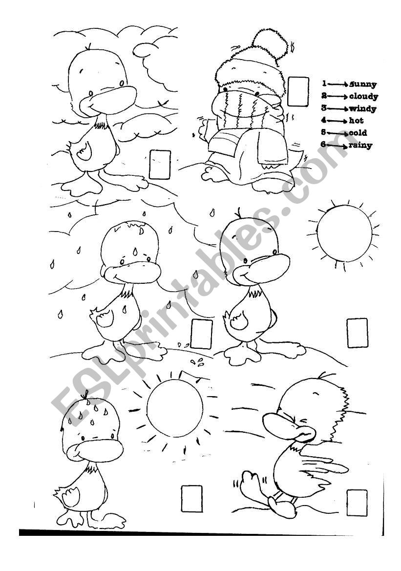 The weather worksheet