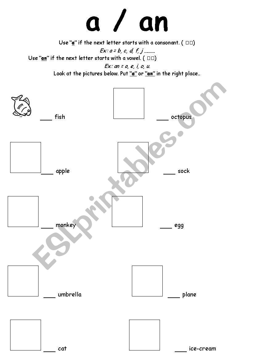 A / An  worksheet