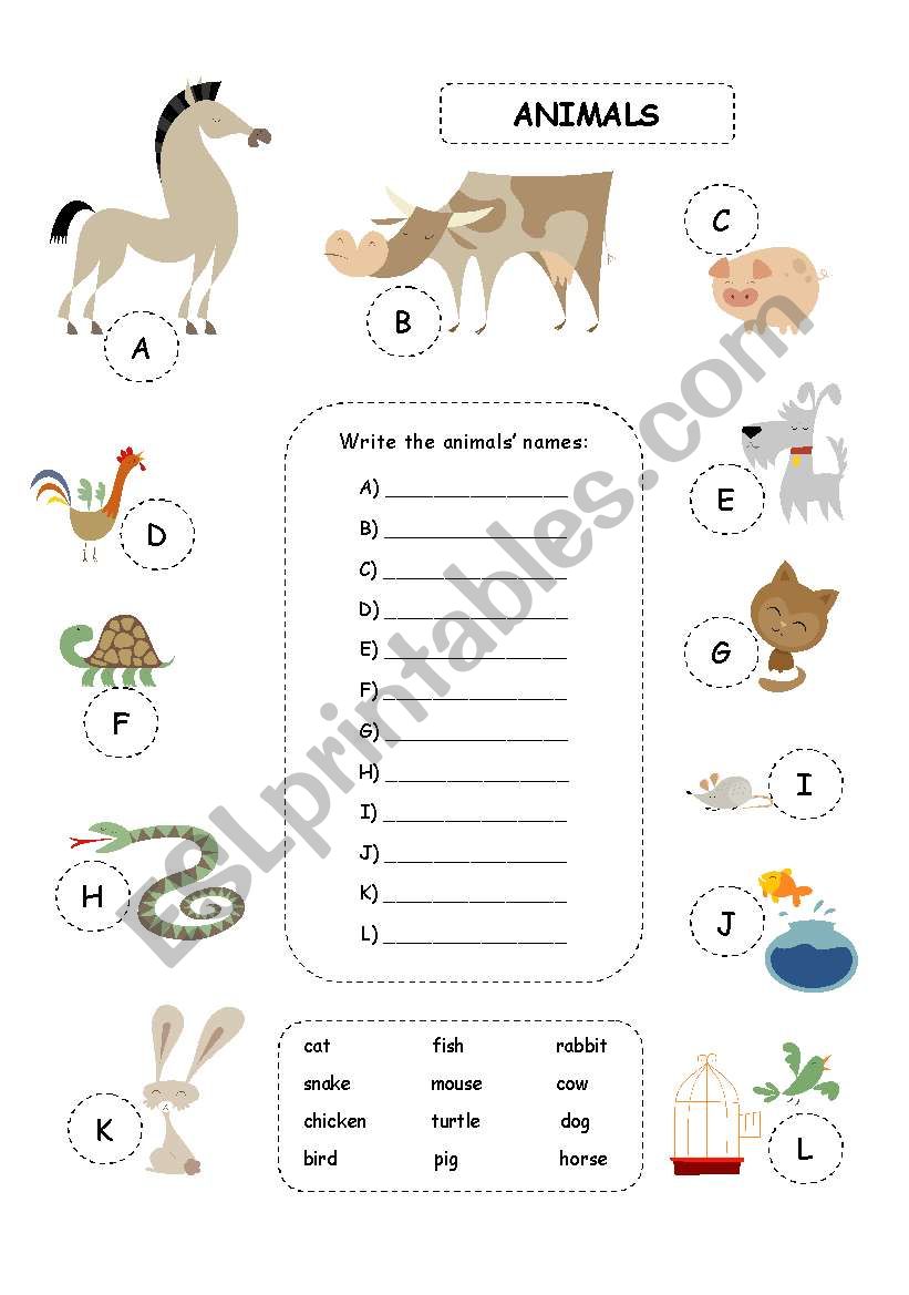 Animals worksheet