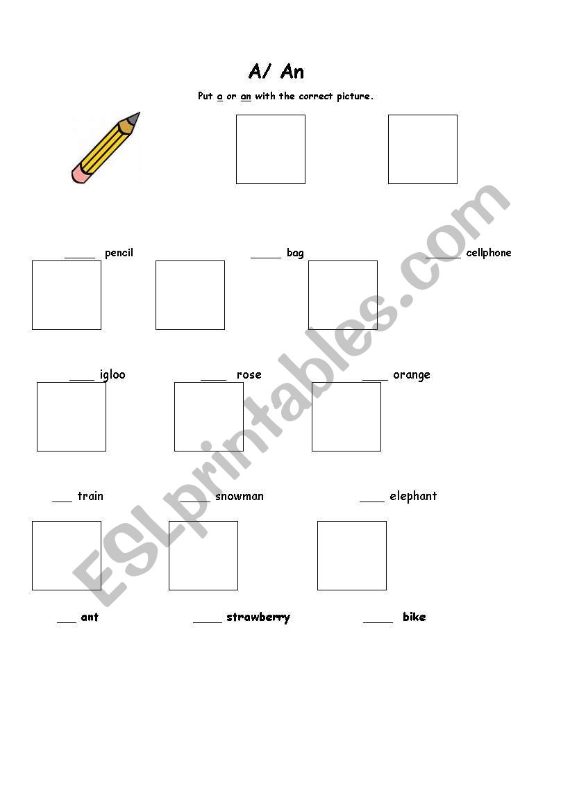  a/ an worksheet