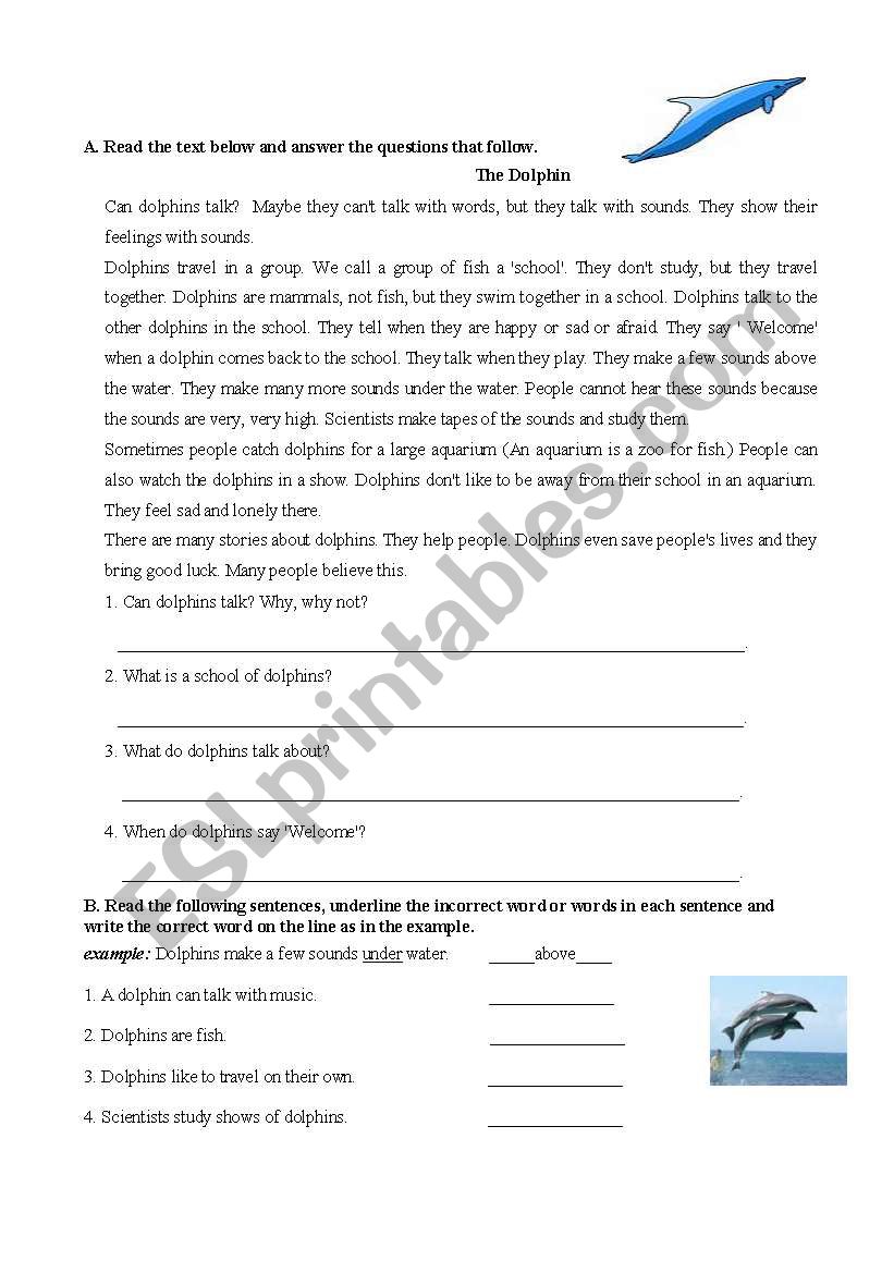 a reading text about dolphins worksheet