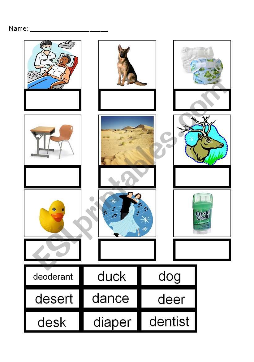 Word Match D worksheet