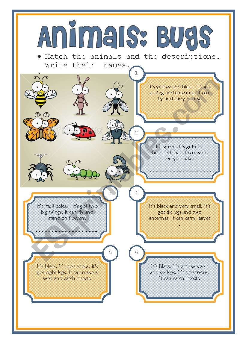 animals: bugs worksheet