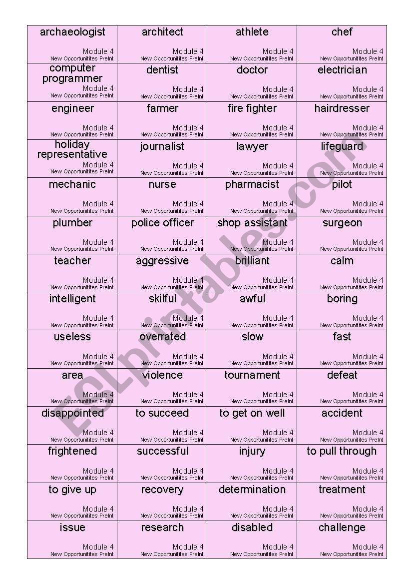 word cards for New Opportunities Pre-intermediate modules 4-6