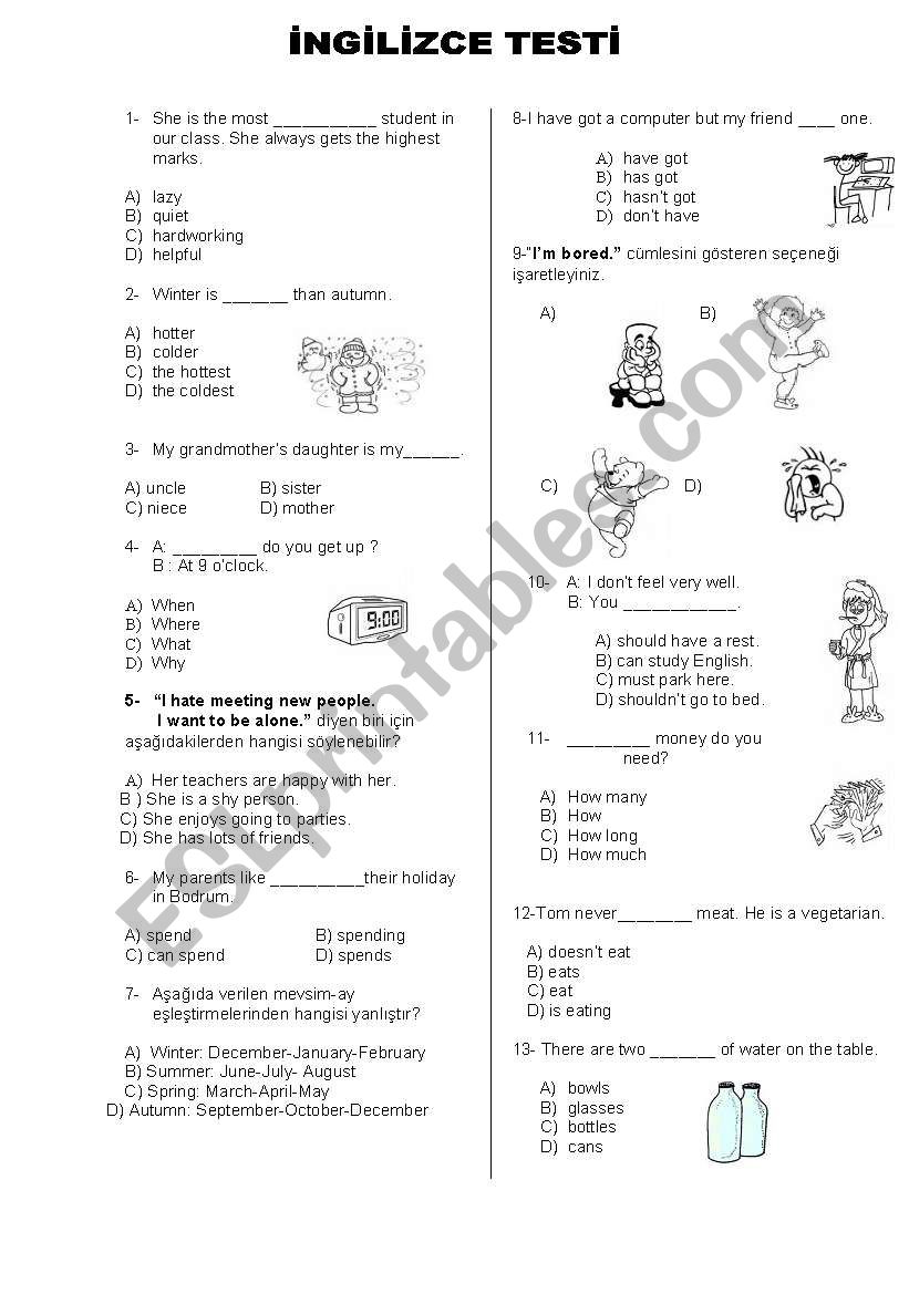 6th grade SBS test for Turkish students