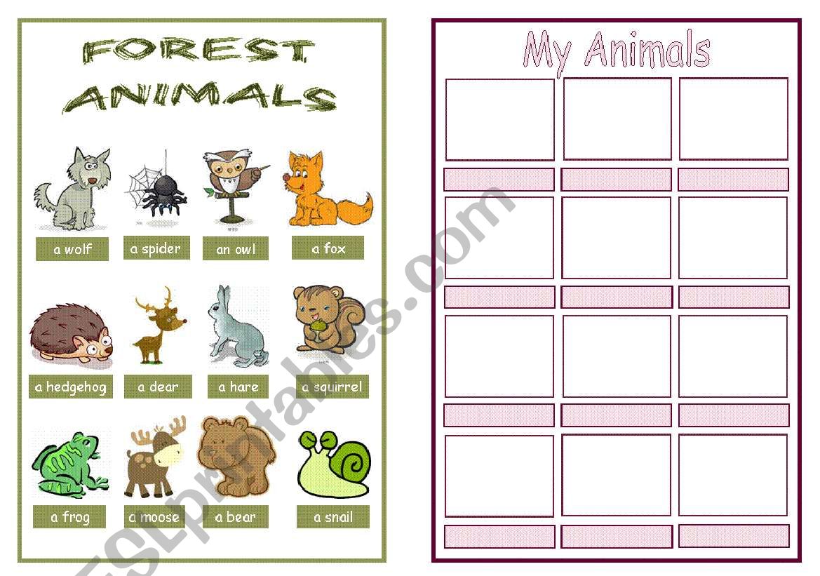 Animal pictionary booklet - Forest animals & My animals 4/4