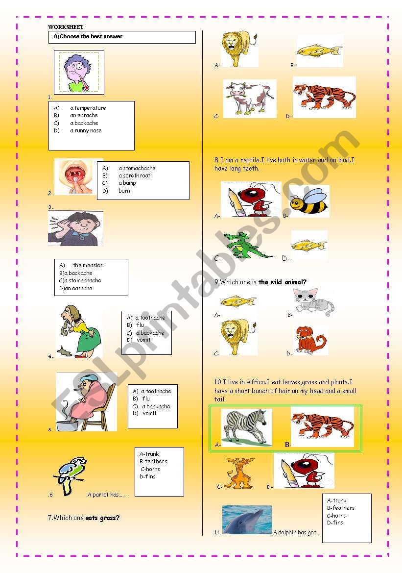 ilness and describing animals worksheet