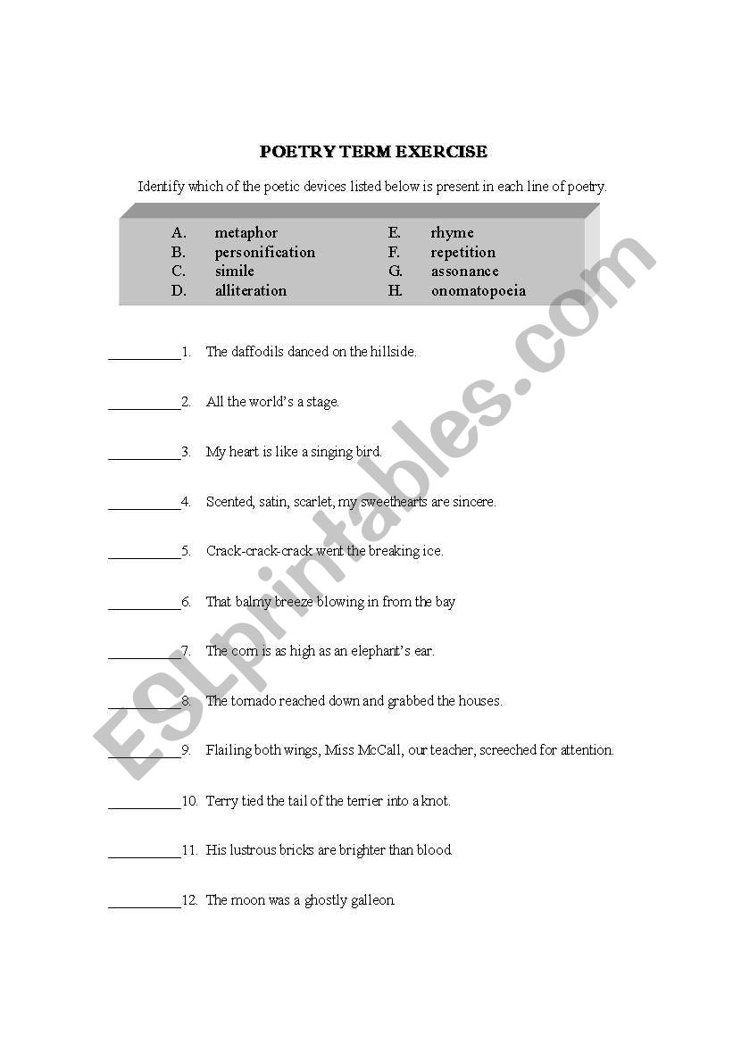 Poetry Term Exercise worksheet