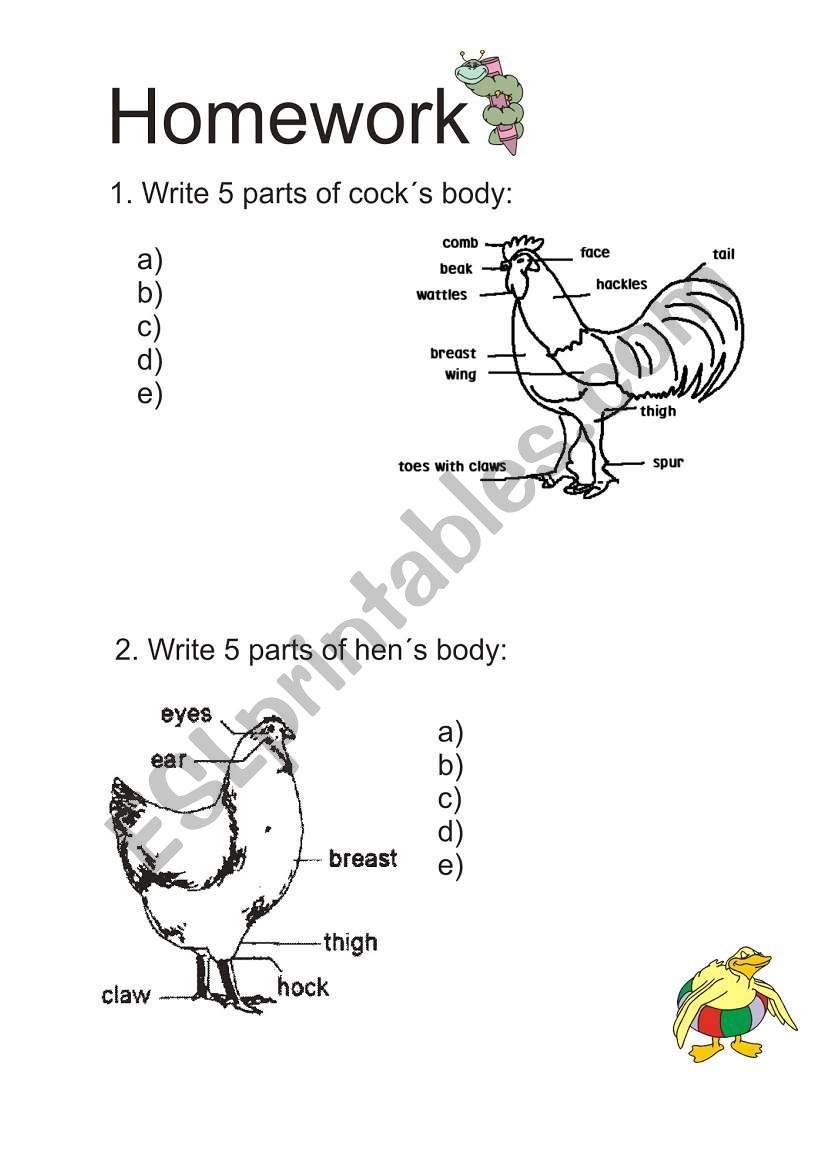 Hen ad cock worksheet