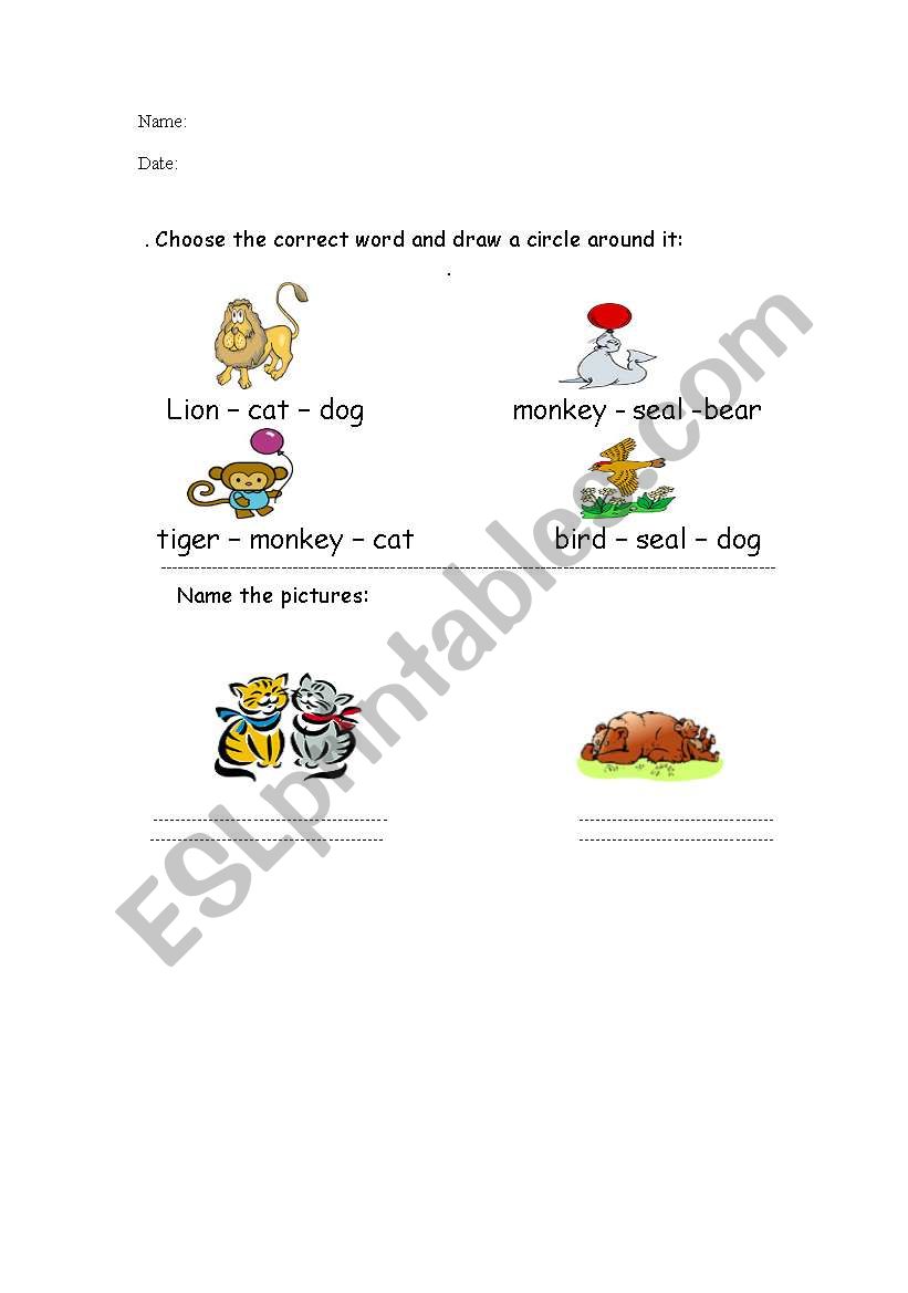 Zoo and pet animal worksheet