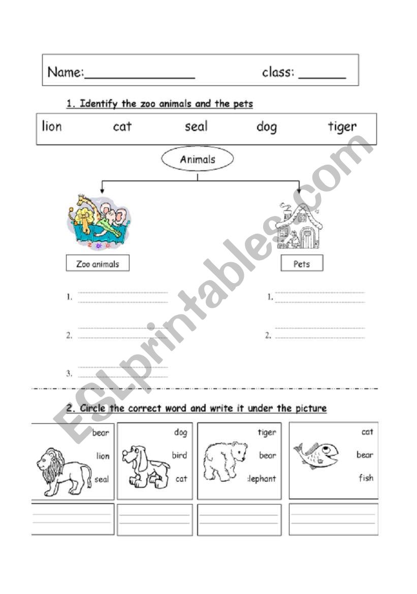 Zoo animals and pets animals worksheet