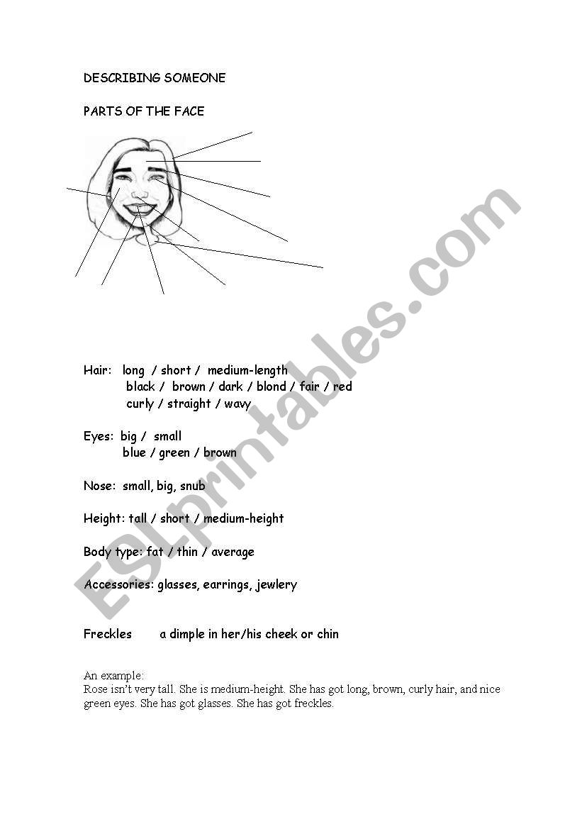 Parts of the face worksheet