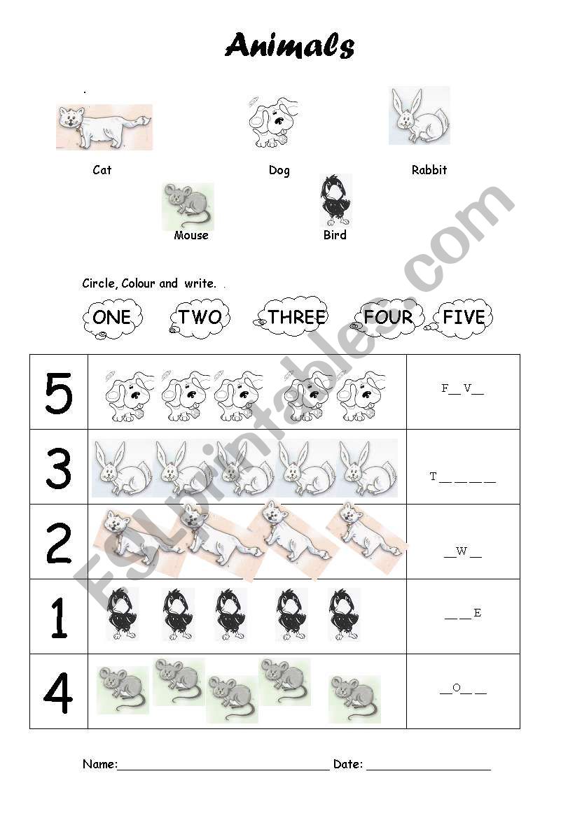 Animals woksheet worksheet