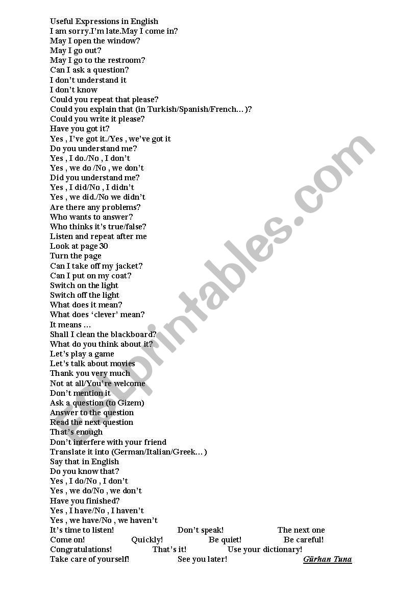 Useful Expressions in English worksheet