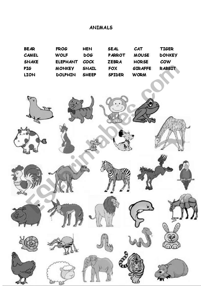 Animals B&W worksheet