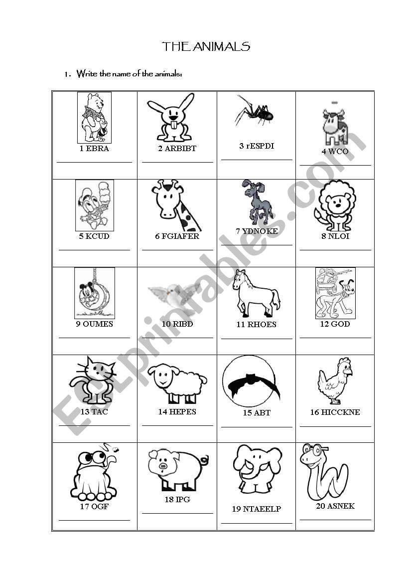 Animals Revision worksheet