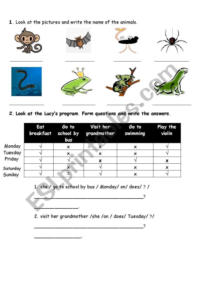 animal worksheet