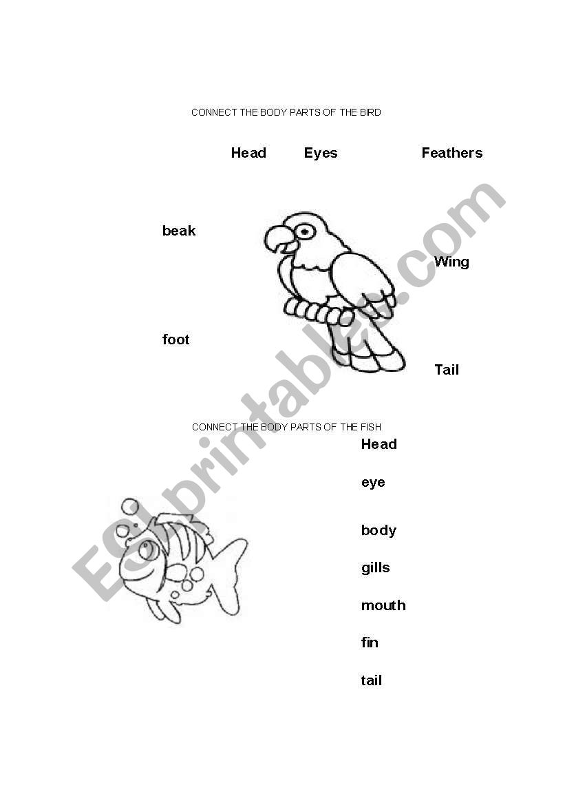 Parts of the fish and bird worksheet
