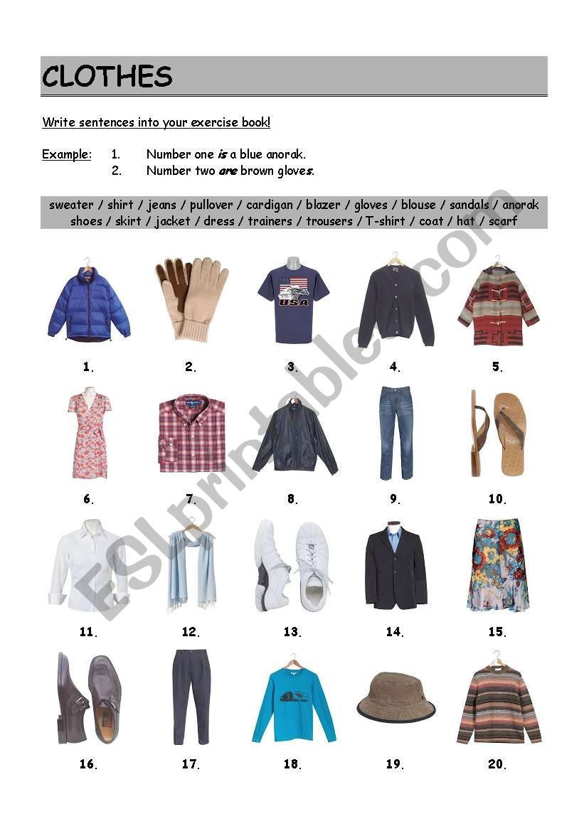 Clothes worksheet