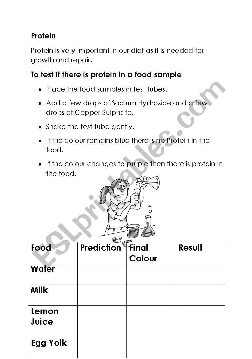 test for protein worksheet