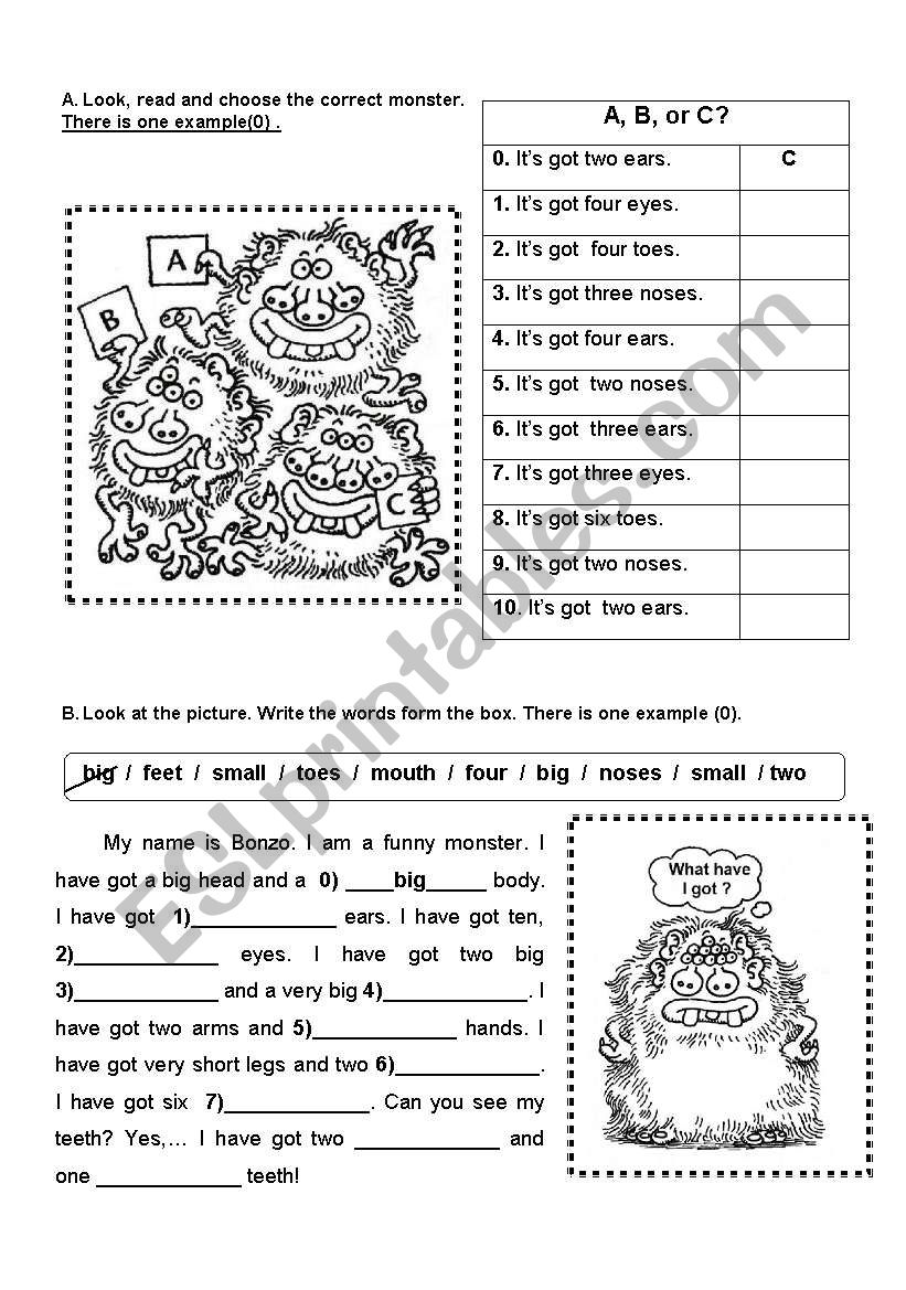 BODY PARTS - HAVE / HAS GOT worksheet