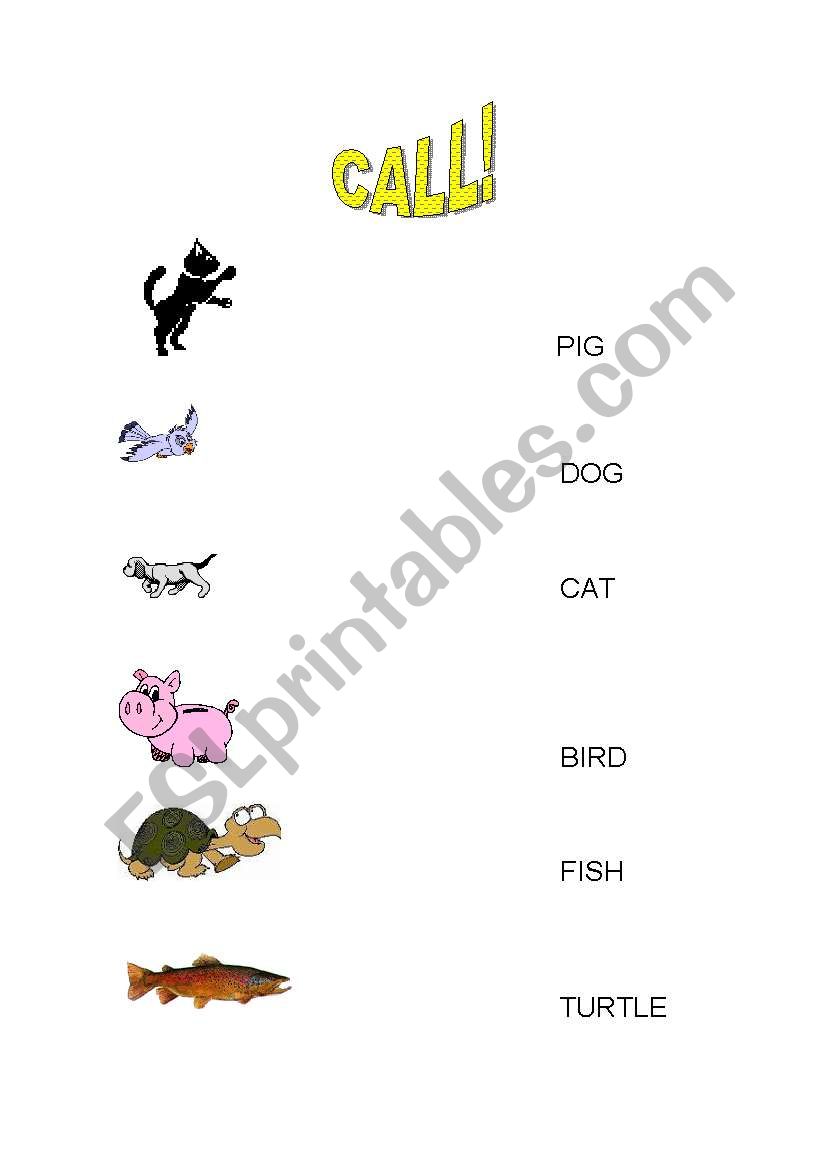 Animals worksheet