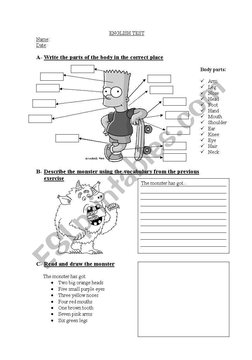 Test - body parts worksheet