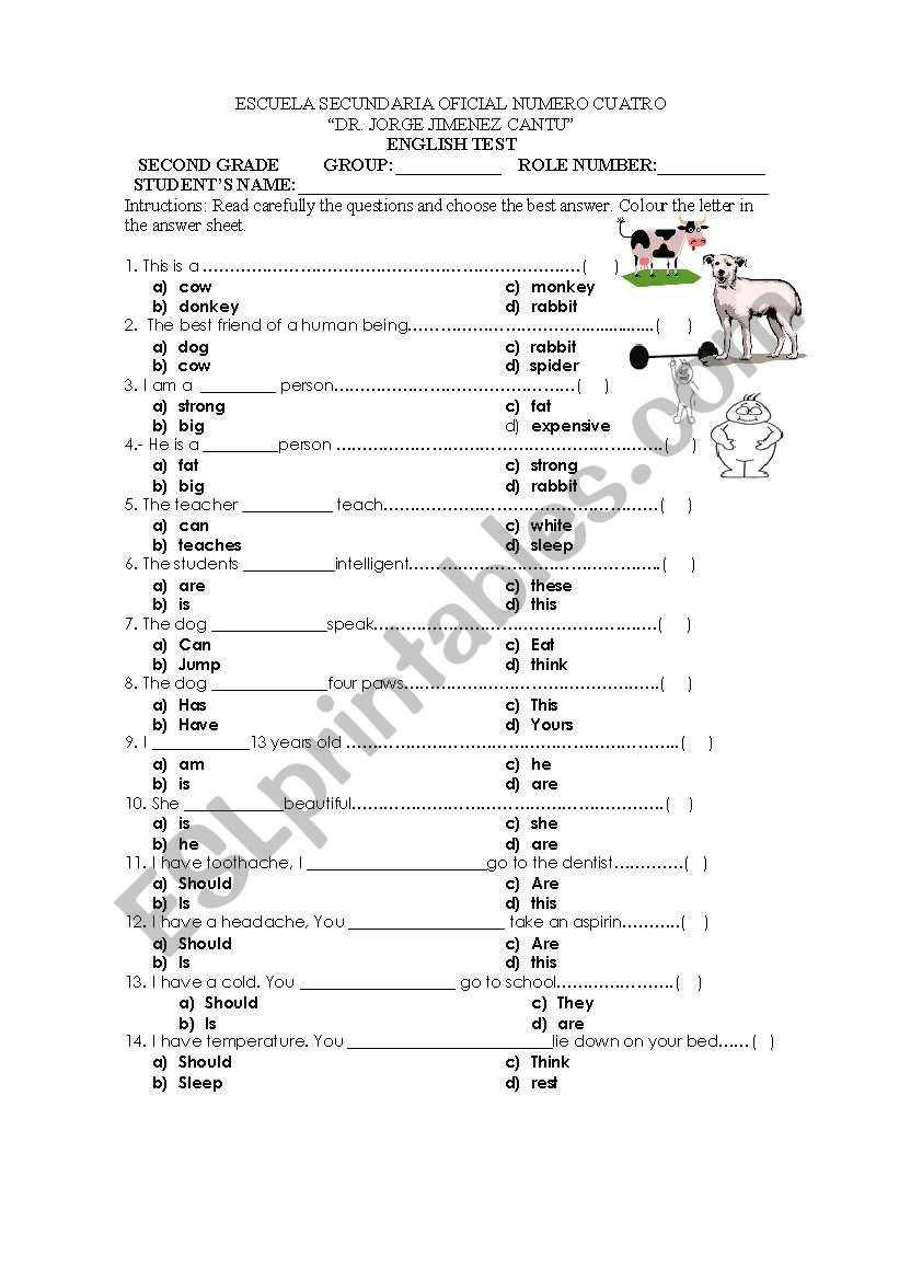 exam worksheet