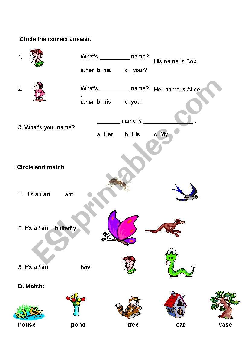 My English Test - Part 2 of 2 worksheet