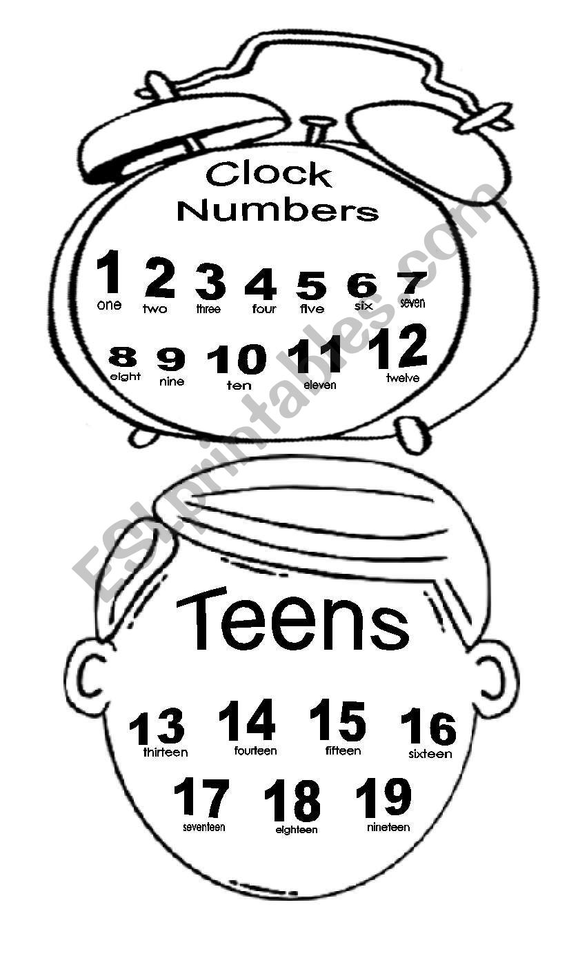 NUMBERS 1-1000 worksheet