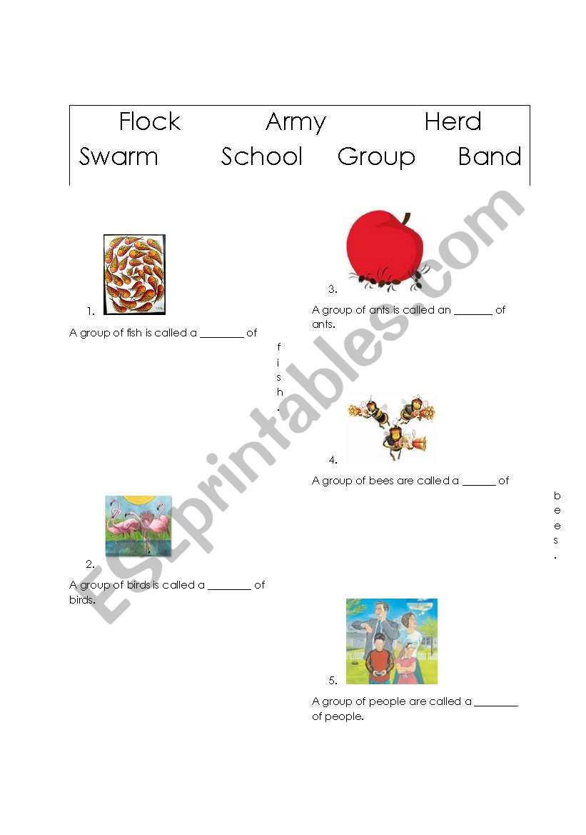 Animal groups worksheet