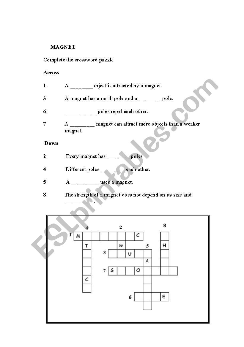 Magnet ( Activity 5 ) worksheet