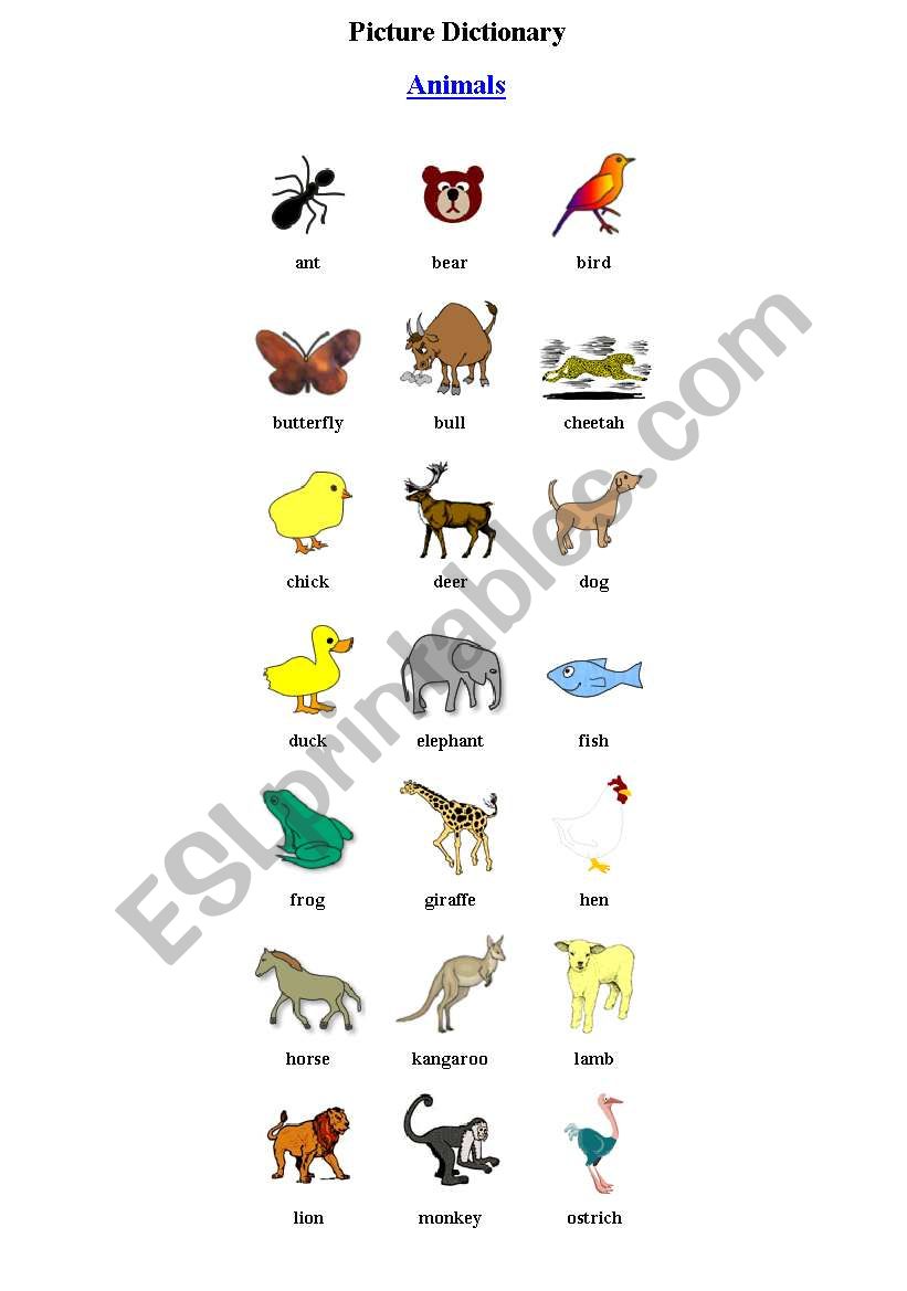 Animals worksheet