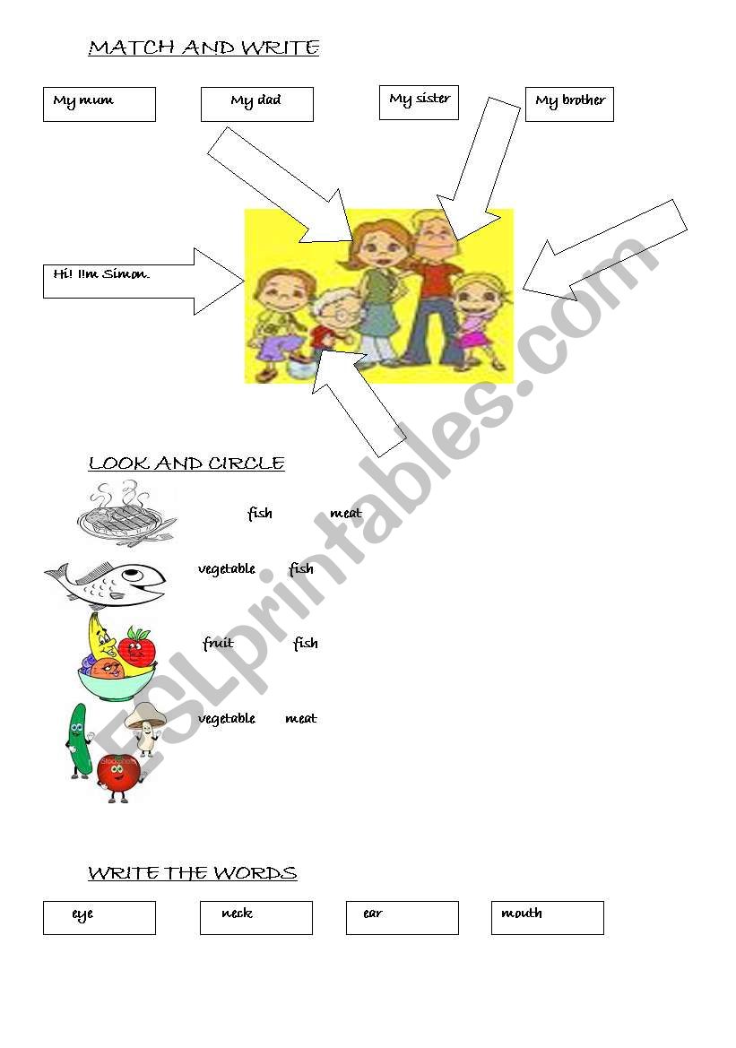 matching parts of the body, family members and foods