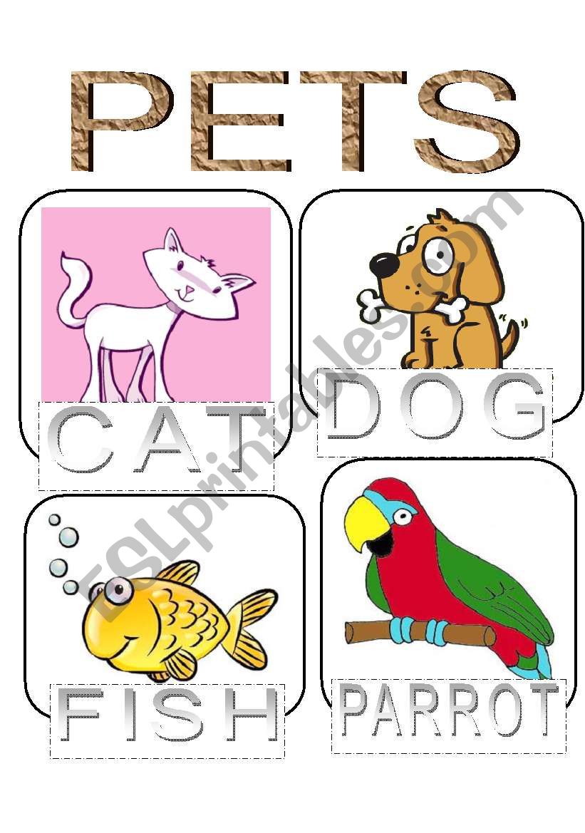 animals flashcard worksheet